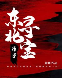 东北寻亲的明星